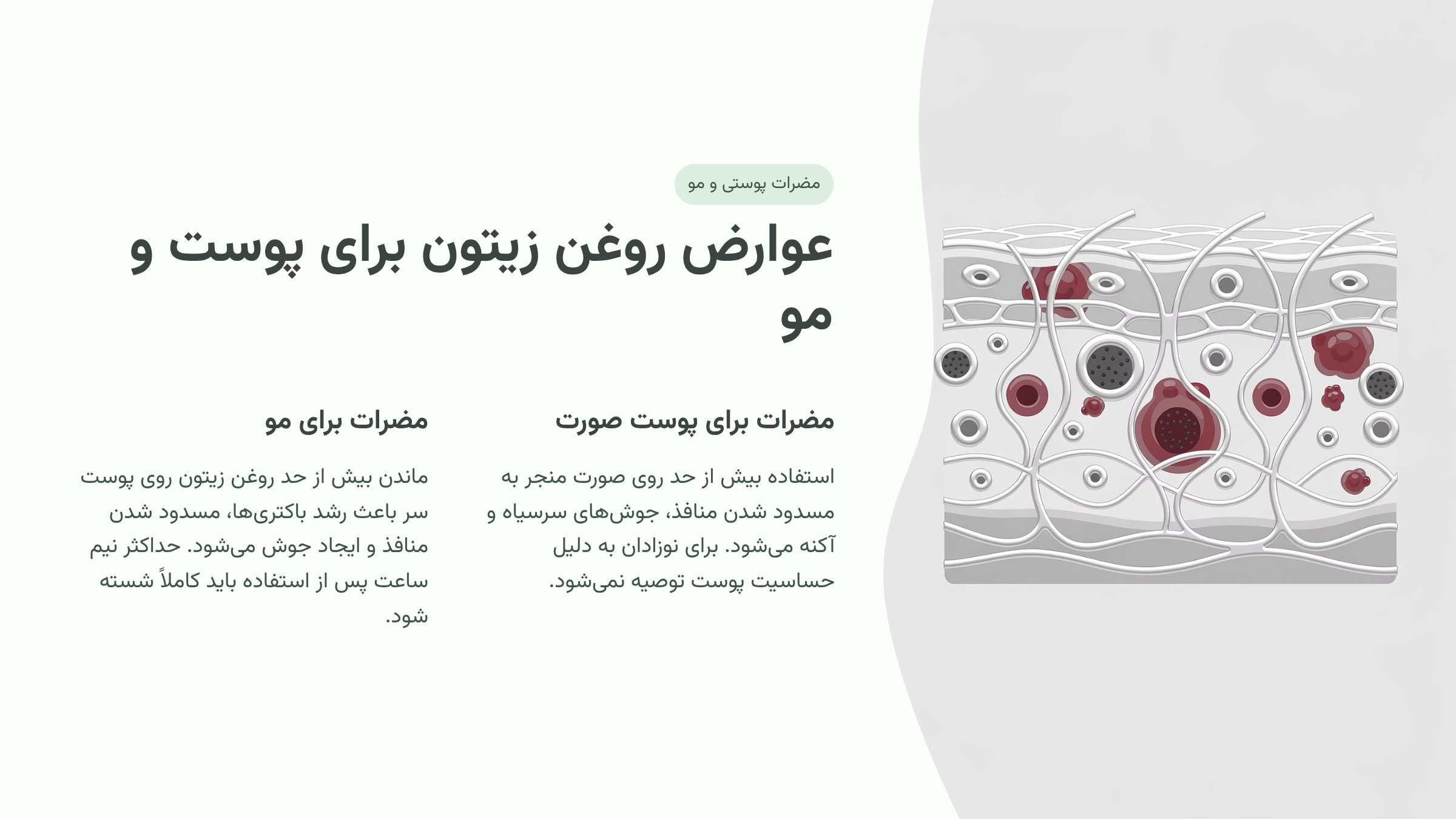 عوارض روغن زیتون برای پوست و مو