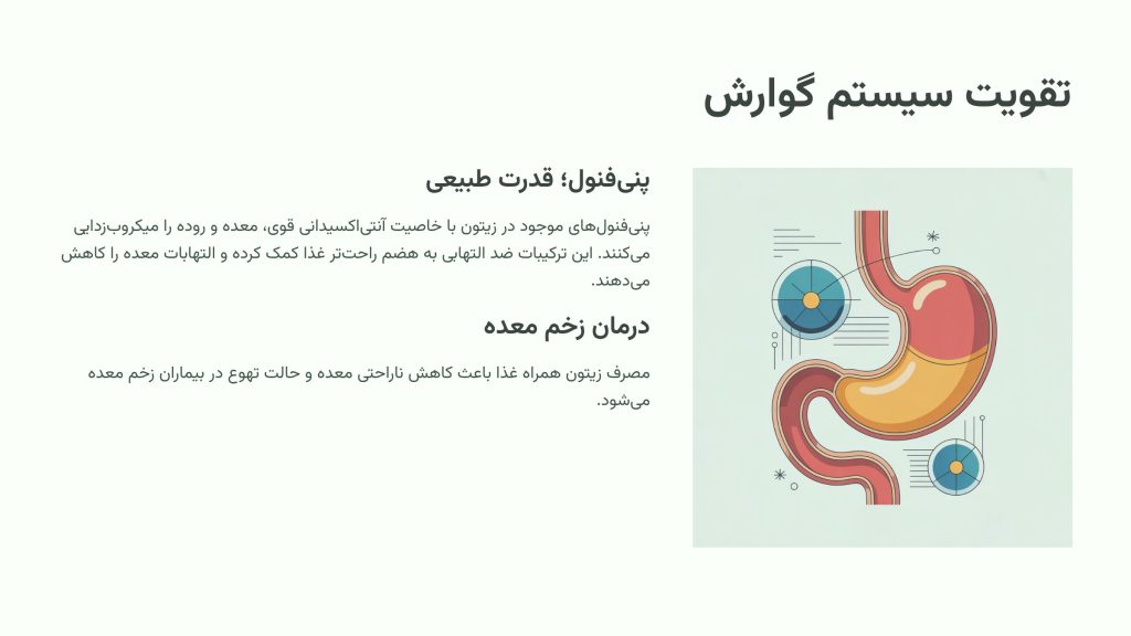 تقویت سیستم گوارش