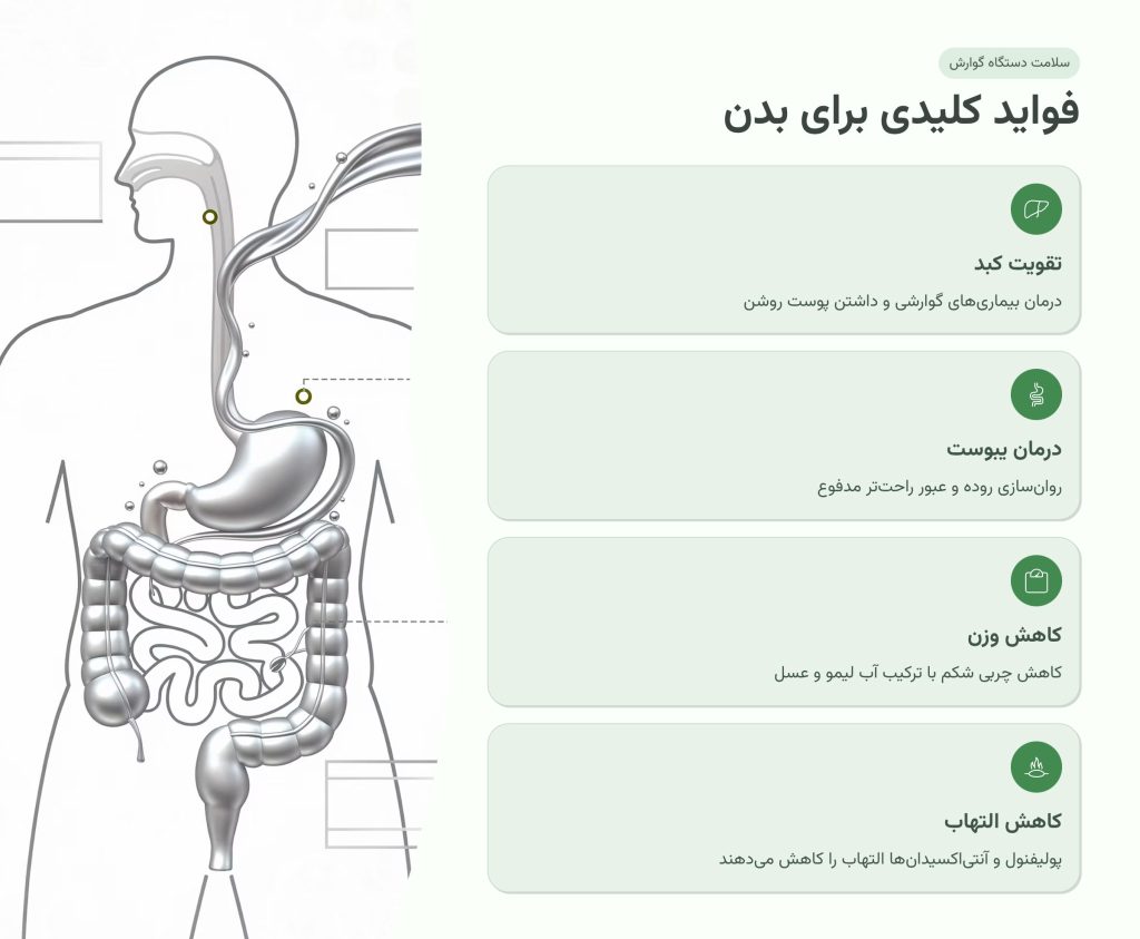 فواید کلیدی برای بدن