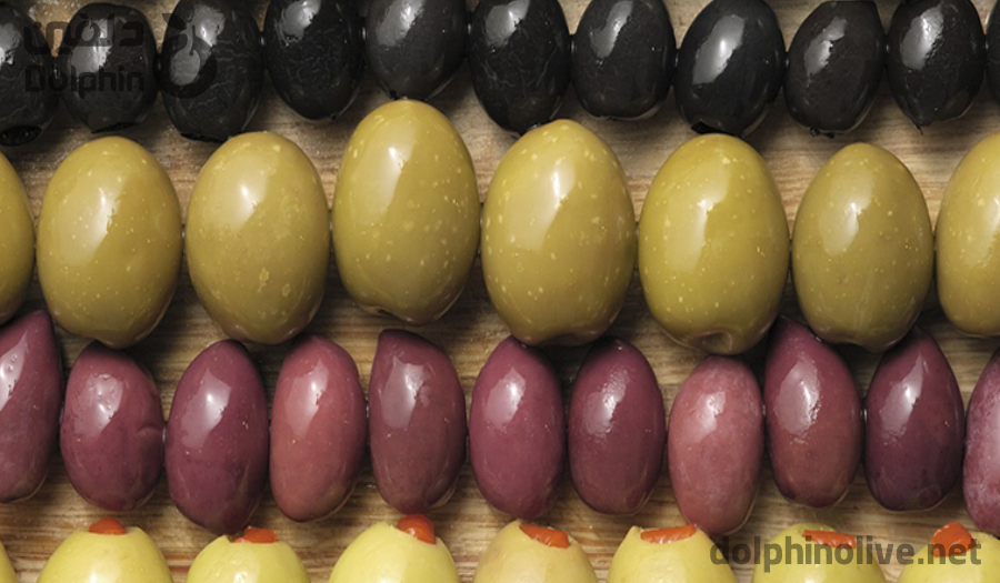 بهترین زیتون ایران