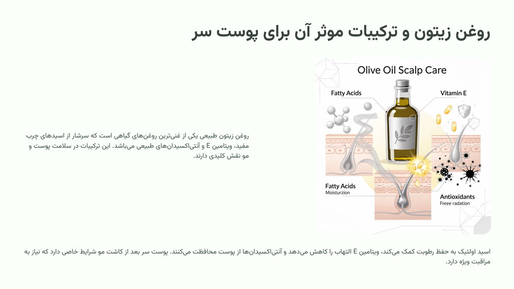 روغن زیتون و ترکیبات موثر آن برای پوست سر